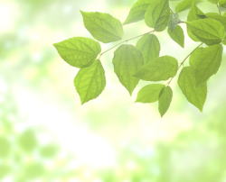 ������j�C���[�W